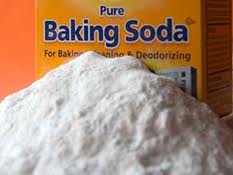 12/2# Hospitality Baking Soda