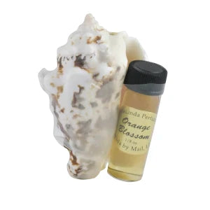 Floralinda Orange Blossom Perfume Shell 0.13 Oz *fl Dc Only*